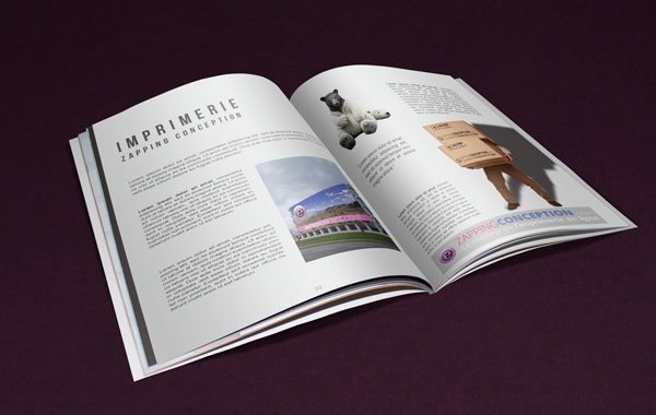 Impression de brochure a Bordeaux Livret et magazine